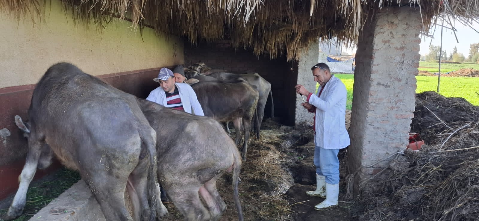 وزارة الزراعة