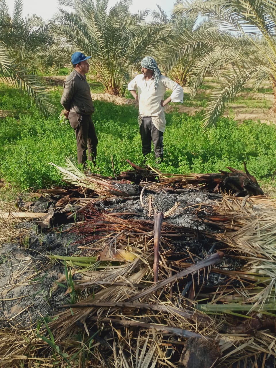 وزارة الزراعة