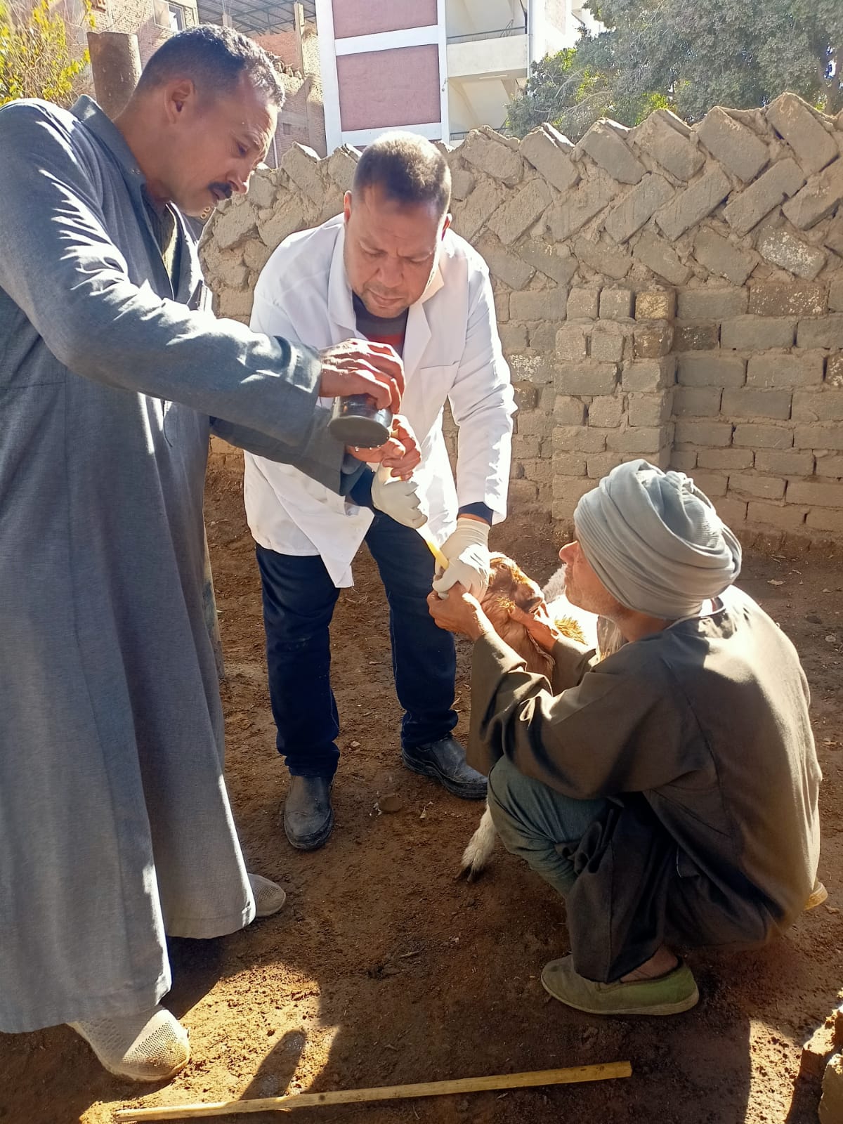 وزارة الزراعة