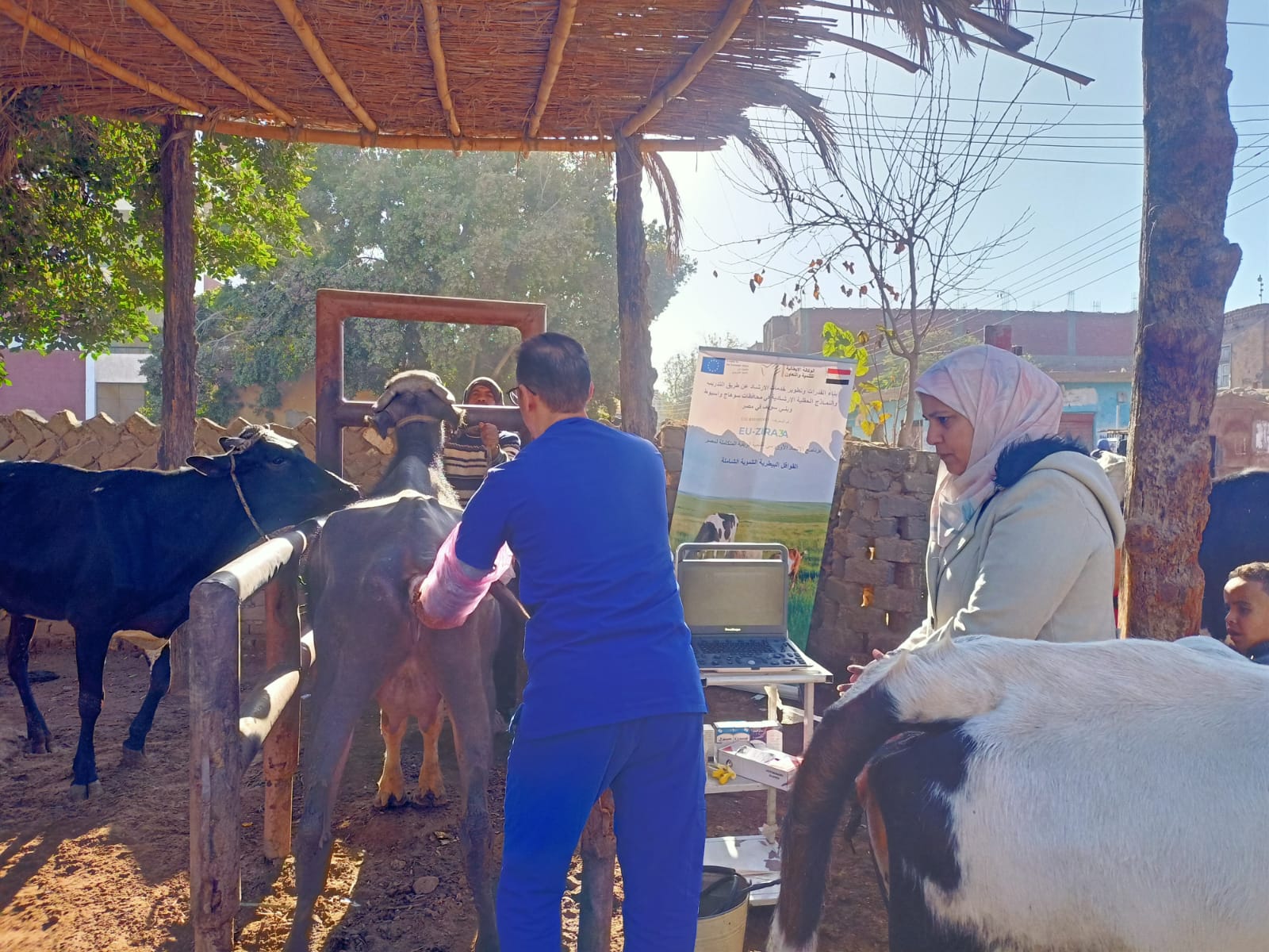 وزارة الزراعة