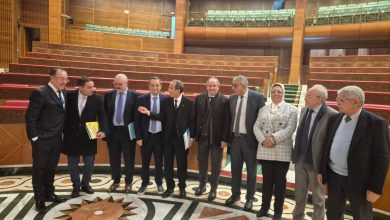 التعليم العالي