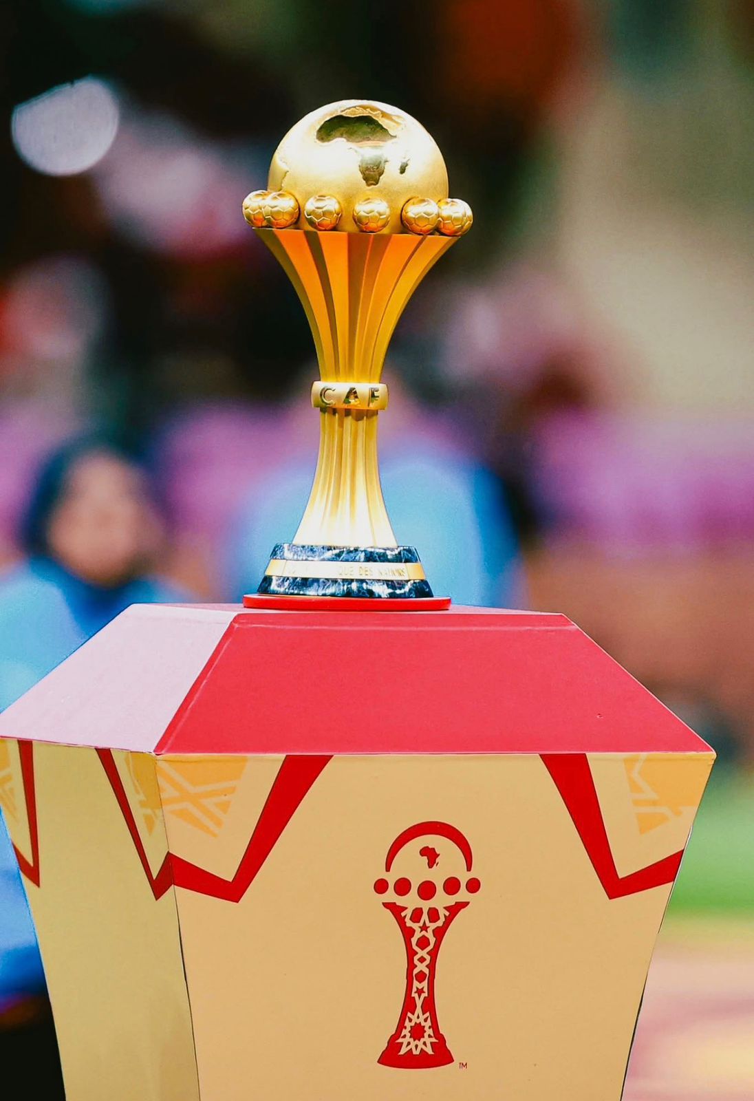 الاتحاد التونسي لكرة القدم