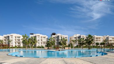 الأهلي صبور