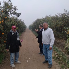 وزارة الزراعة: