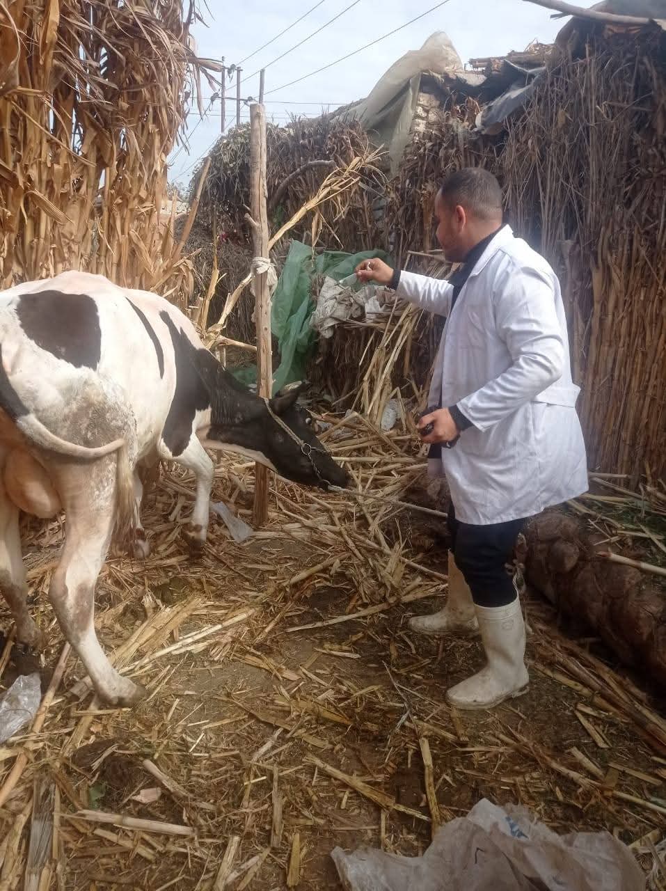 وزارة الزراعة