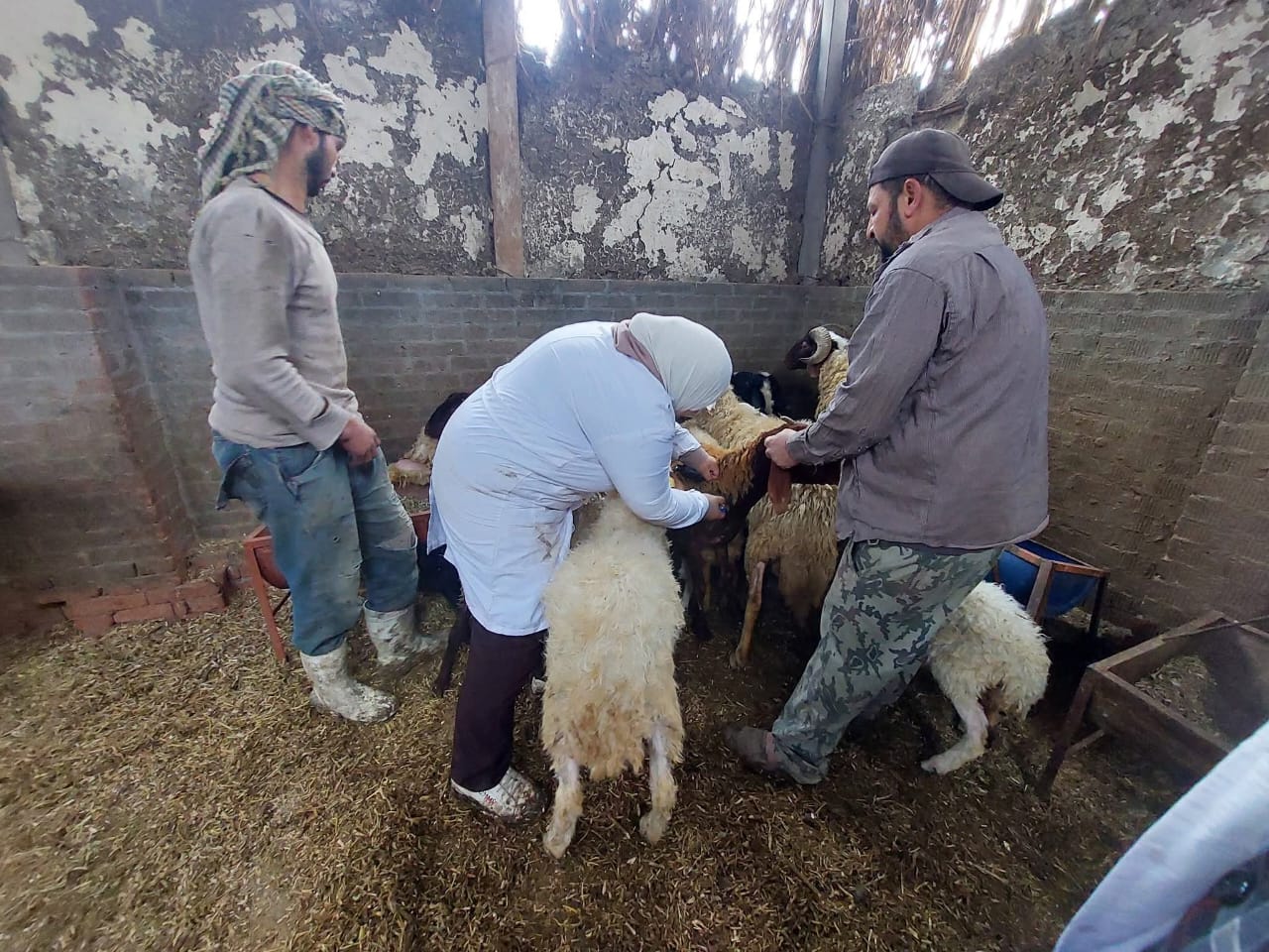 وزارة الزراعة