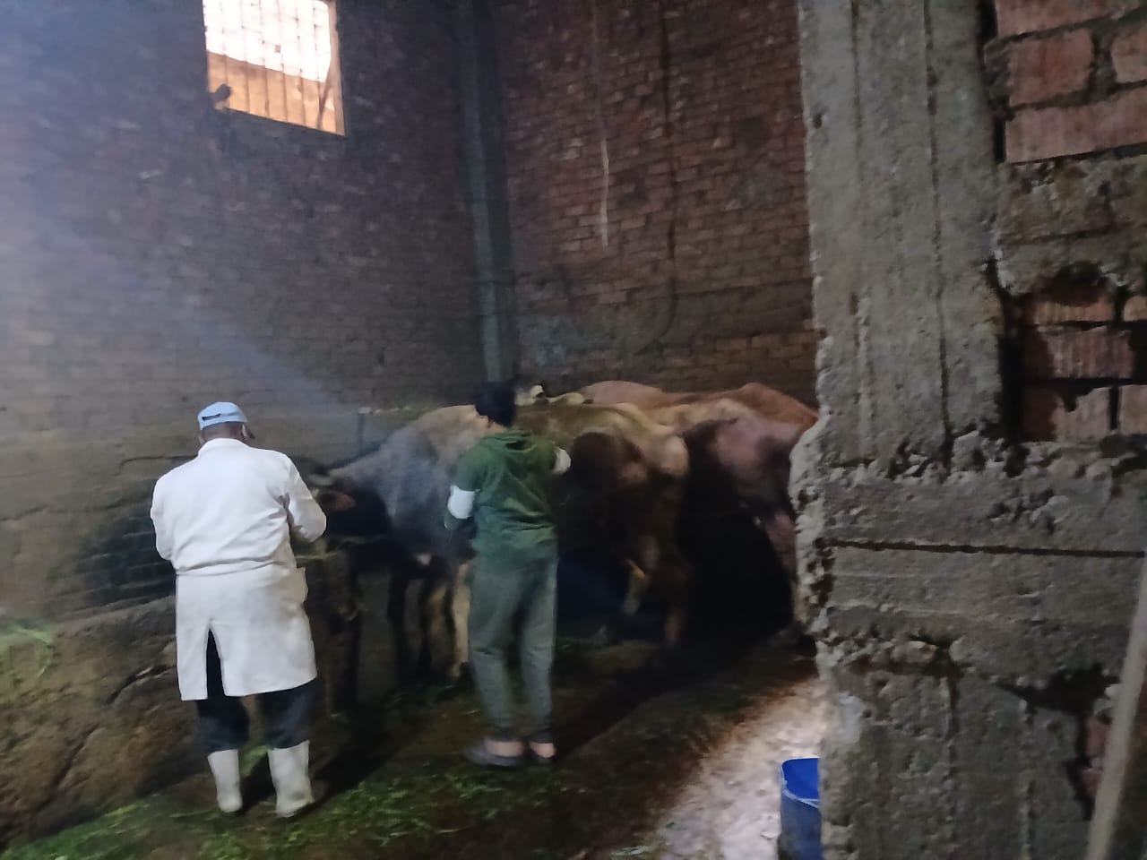 وزارة الزراعة