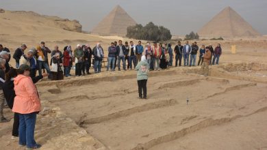 المدرسة الميدانية