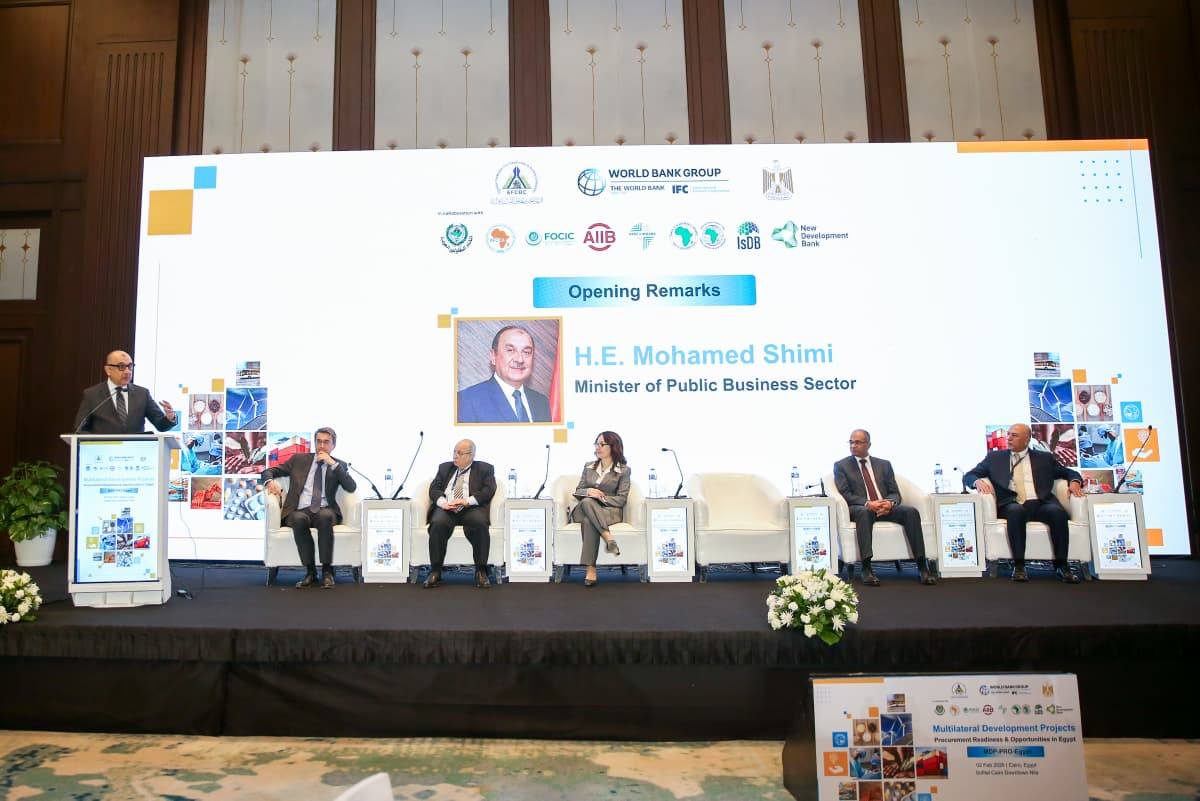 وزير قطاع الأعمال العام