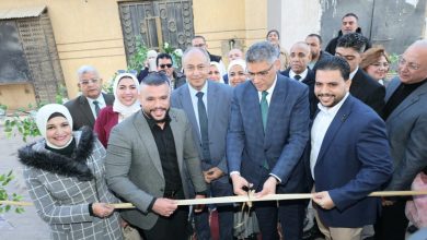 محافظ الجيزة