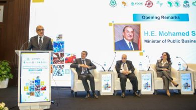 وزير قطاع الأعمال العام