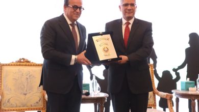 محافظ الجيزة