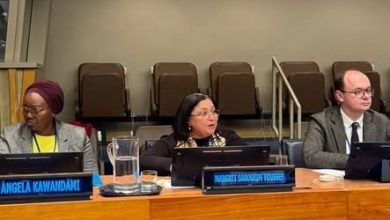 نائبة وزيرة التضامن