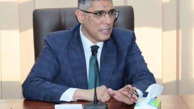 محافظ الجيزة