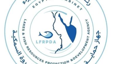 الحصاد بمزرعة برسيق السمكية