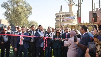 وزيرة التنمية