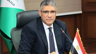 محافظ الجيزة