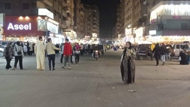 محافظ الجيزة