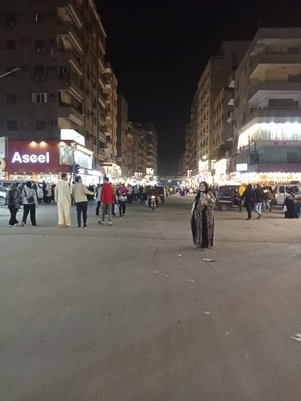 محافظ الجيزة