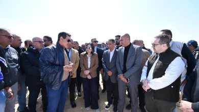 وزيرة الإسكان