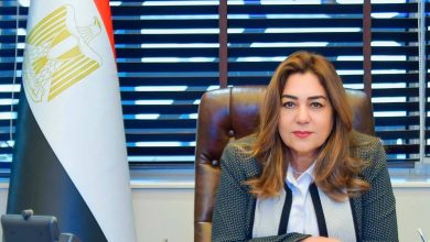 وزارة التنمية