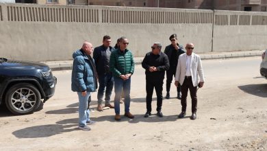 محافظ الجيزة