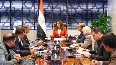 وزيرة التنمية