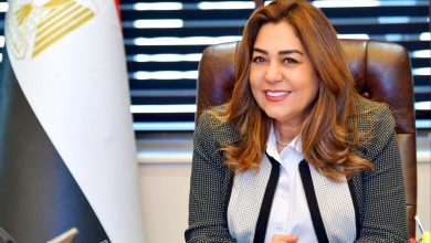 وزارة التنمية