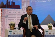 محمد أبو السعود