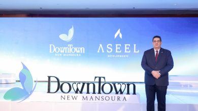 Aseel Developments