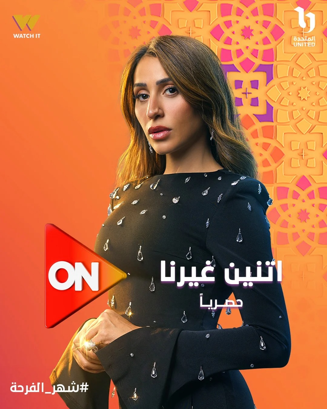 علا الشافعي