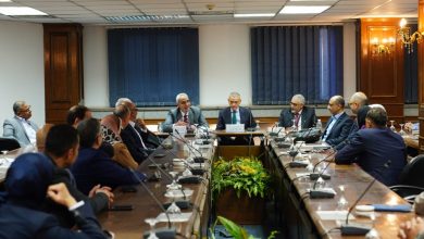 مصر للطيران