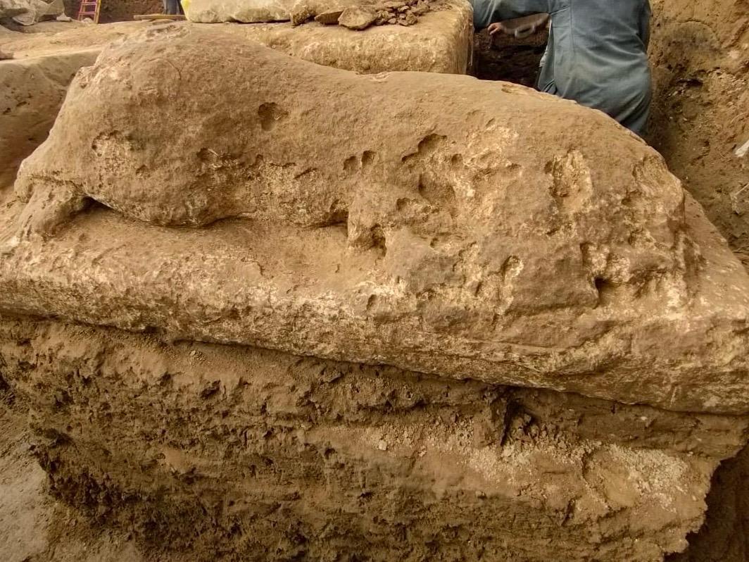 البعثة المصرية-الصينية