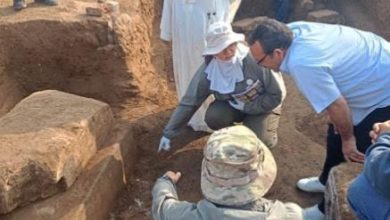 البعثة المصرية-الصينية