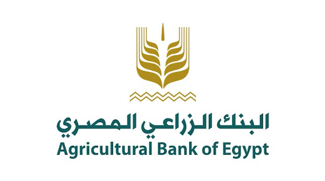 عمرو الليثي