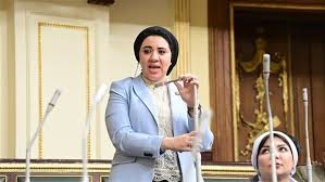 النائبة أميرة صابر
