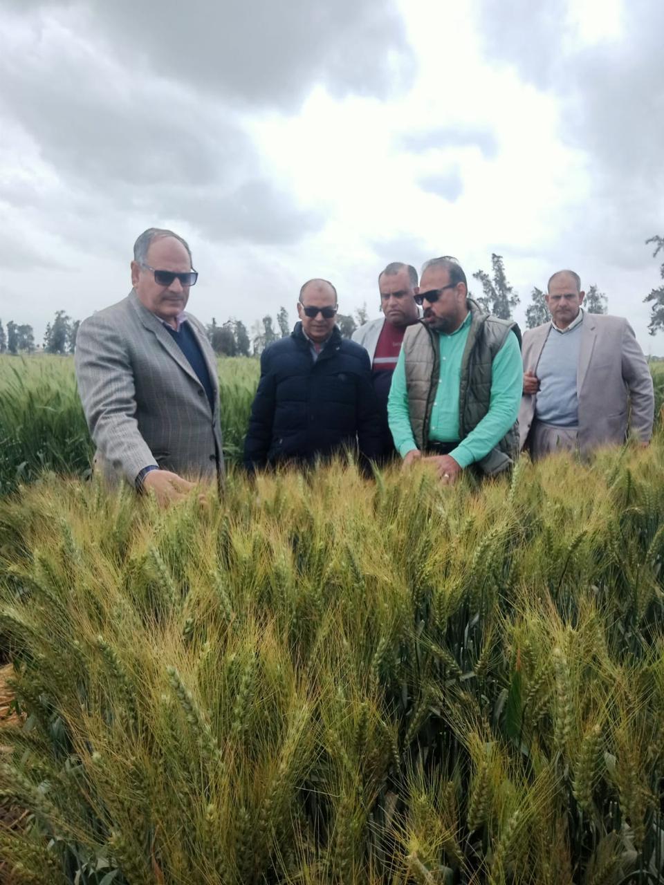  البحوث الزراعية