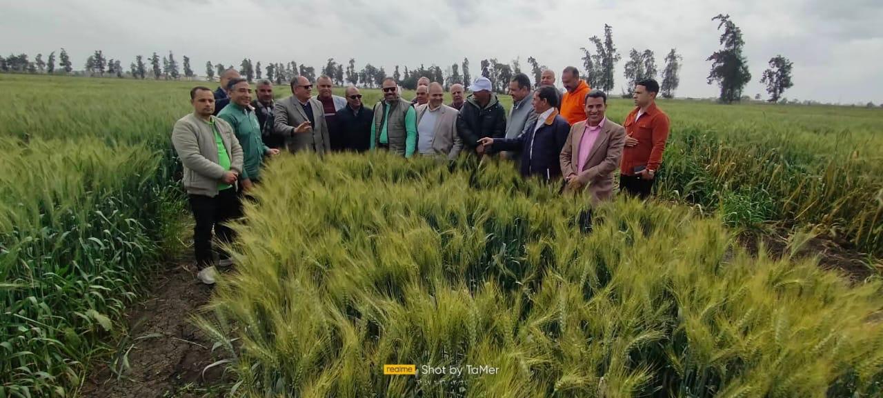  البحوث الزراعية