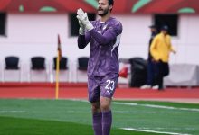 محمد الشناوي