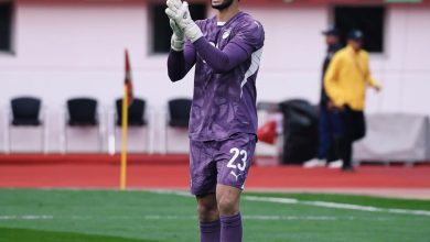 محمد الشناوي