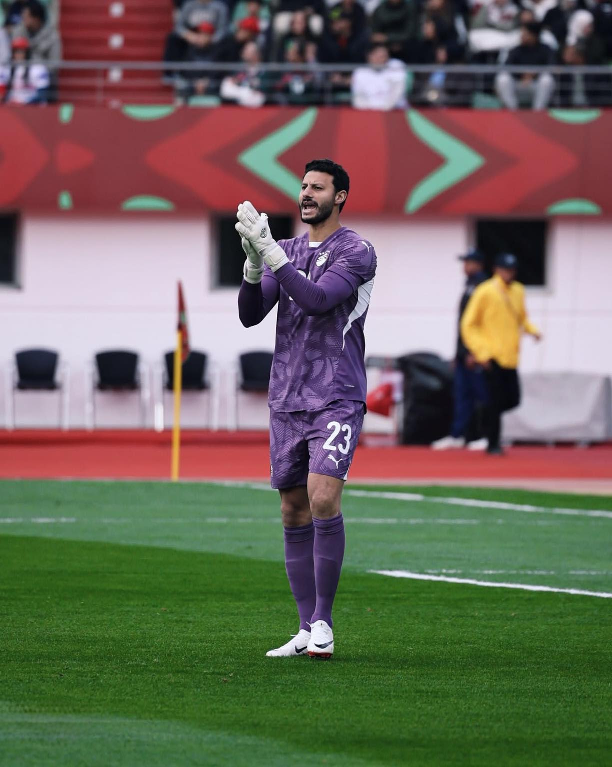 محمد الشناوي