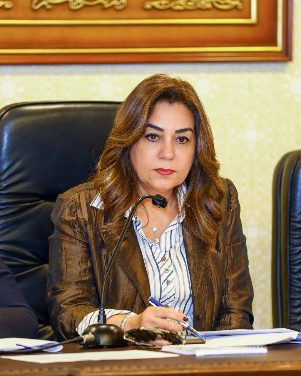 وزيرة التنمية