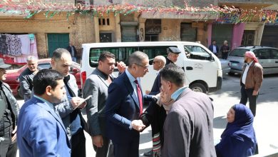 محافظ الجيزة