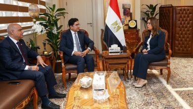 وزيرة التنمية