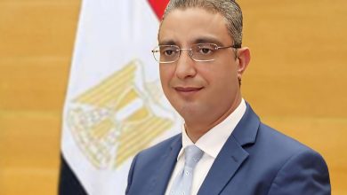 محافظ الجيزة