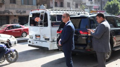 محافظ الجيزة