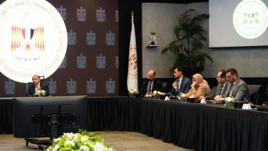 وزير الاستثمار