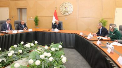 وزير الكهرباء