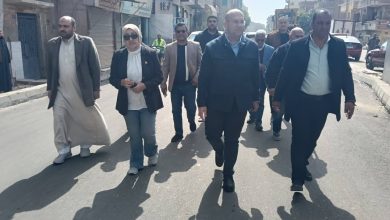 محافظ الجيزة