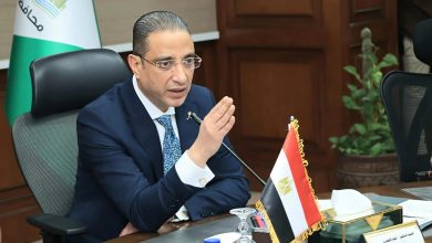 محافظ الجيزة